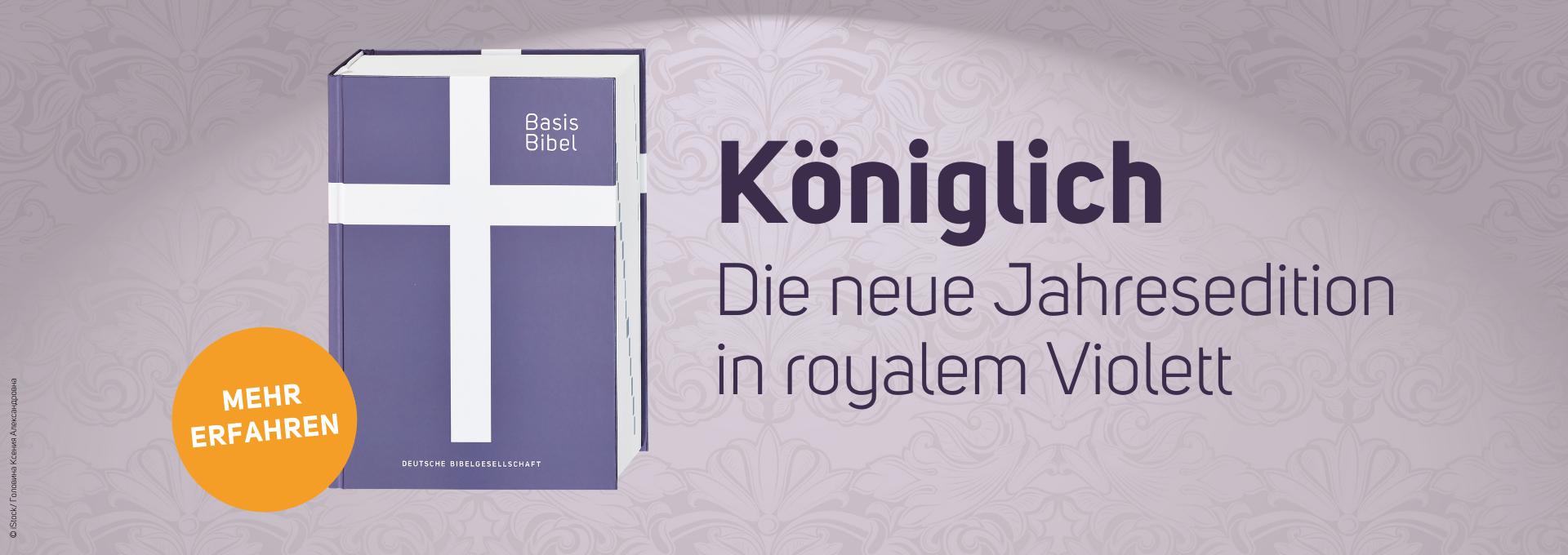 BasisBibel. Die Kompakte. Edition 2025 
