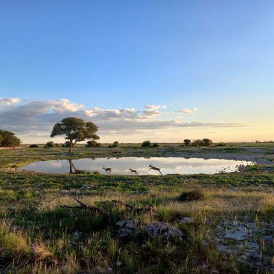Zoom-Vortrag Namibia